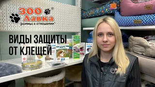 ВИДЫ ЗАЩИТЫ ОТ ИКСОДОВЫХ КЛЕЩЕЙ. Чем защитить собаку от клеща?