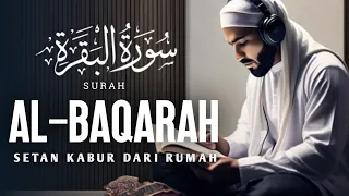 SUARA INDAH BACAAN SURAH AL BAQARAH | SETAN KABUR DARI RUMAH   | NGAJI MERDU | Murottal Qur'an