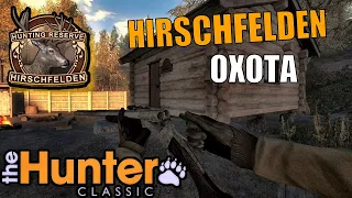 Очень Интересная Охота На Хиршфельден The Hunter Classic