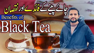 benefits Of Black Tea || Chai K 5 Behtreen Faiday In Urdu/Hindi