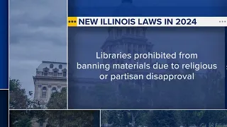 Top new laws taking effect in Illinois Jan. 1