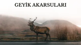 Geyik Akarsuları #ilahi