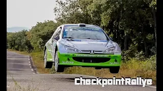 PEUGEOT 206 MAXI - PURE SOUND - THE BEST OF - CHECKPOINTRALLYE -