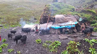 Best Life in The Nepali Mountain Village During the Rainy Season | Best Compilation Video Rainy Time