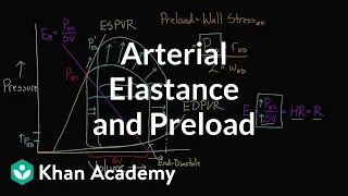 Arterial elastance (Ea) and preload | Circulatory system physiology | NCLEX-RN | Khan Academy