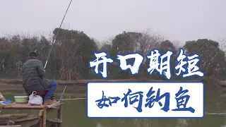 冬季钓鱼真是难，开口期太短了，钓友们你们是不是也一样？【户外老曹】