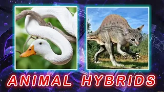 Magic In Real Life  🧙‍♀️ Animal hybrid Part 1