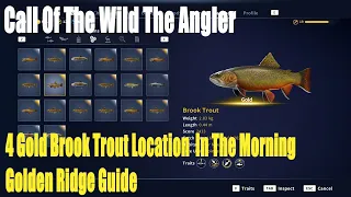 Call Of The Wild The Angler,4 Gold Brook Trout Location  In The Morning, Golden Ridge Guide