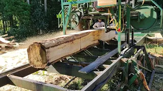 serraria movel torra de eucalipto taboa de 30 e de 10 cm ao mesmo tempo