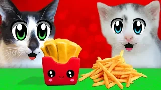 CHALLENGE SQUISHEES! CAT KID and CAT MURKA and Squishy Food VS REAL FOOD CHALLENGE! TOYS ANTISTRESS