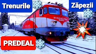 Trenurile Zapezii - PREDEAL