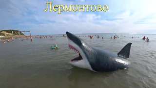 Акула в Чёрном море!