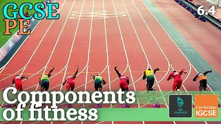 GCSE PE - COMPONENTS OF FITNESS - Health-related & skill-related - (Health, Fitness & Training 6.4)