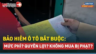 Bảo Hiểm Ô Tô Bắt Buộc: Mua Bao Nhiêu Tiền? Không Mua Bị Phạt Thế Nào? | LuatVietnam