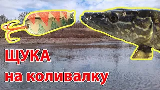 Щука на коливалку осіння рибалка на спінінг осінній жор щуки