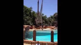 Sea Lion Show, Jungle Park in Tenerife - June 21st 2013