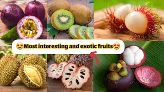 most interesting fruits | most exotic fruits | fruits name in english