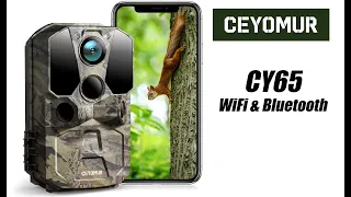 The Ceyomur CY65. This one is WiFi & Bluetooth enabled for remote viewing