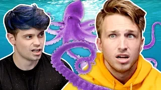 Why Shayne Is Afraid Of Animals - SmoshCast #36 Highlight