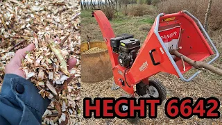 Дробене на клони с Hecht 6642 | Wood chipping with Hecht 6642 - 420 cc / 12hp