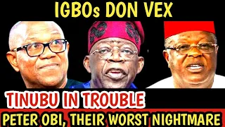BREAKING!! IGBOS Don Vex For Tinubu😱 Peter Obi Is Their Worst Nightmare
