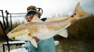 Fly Fishing for Monster Redfish in Louisiana!