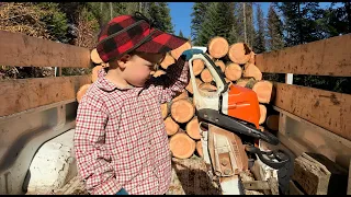 Firewood cutting in the fall