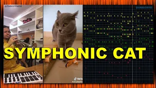 The Kiffness X Gregoryes - Alugalug Cat 2.0 - Epic Symphonic Cat