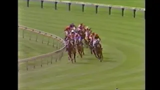 Ellerslie Steeplechase 1985