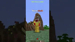 POV: You're a Minecraft Mob