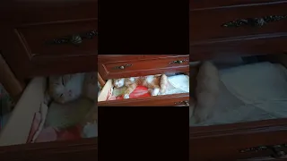 Кот Шустрик спит в шкафу 😀