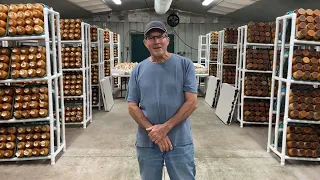 Hamakua Mushrooms Farm Tour