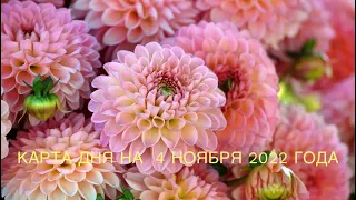 КАРТА ДНЯ НА 4 НОЯБРЯ 2022 ГОДА