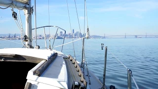 Shark Attack in San Francisco Bay!!