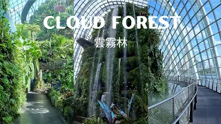 Cloud Forest - Gardens By The Bay [Singapore] Travel Guide 2023 [4K] 雲霧林新加坡旅 游景點