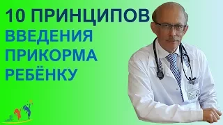 10 основных принципов введения прикорма ребёнку при грудном вскармливании