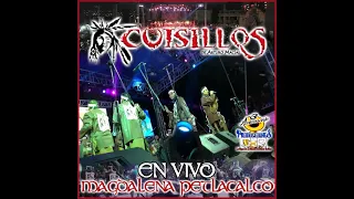 Cuisillos en vivo te quiero