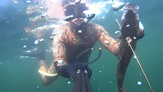 Подводная охота В Норевегии на люра 2019