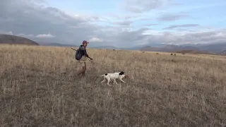 Pointer ile keklik avı (7) (Halil Sencer) Partridge hunts Köklüpointer _ Hunting with pointer