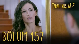 Yaralı Kuşlar 157. Bölüm