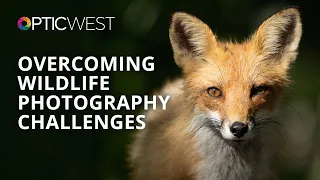 The Challenges and Joys of Wildlife Photography | Melissa Groo | B&H OPTIC West