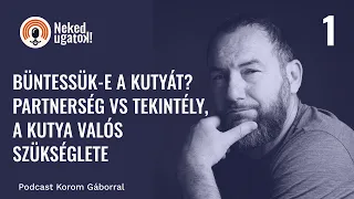 Megbüntessem-e a kutyát? | Partnerség vs tekintély | A kutya valós szükséglete - Neked Ugatok! #1