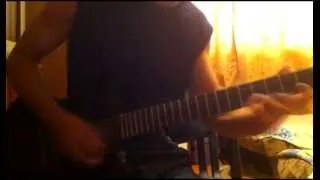 Zakk Wylde - Find The Feel (Shred Cover)