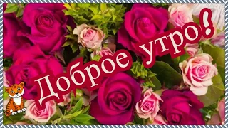 Доброе утречко! Хорошего дня! Музыкальная открытка для друзей.