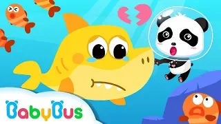 Baby Shark Wanna Make Friends | Shark Song, Dinosaur Rescue Team, Animal Song | BabyBus