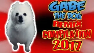 РЕАКЦИЯ НА TOP 10 GABE THE DOG|REMIX| Топ 10 Гейб собак Ремикс| #Ripgabe