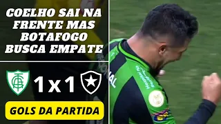 América-MG 1 x 1 Botafogo | Gols da Partida | Brasileirão Série A | 21-05-2022