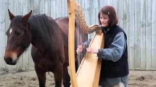 Harp playing and horses