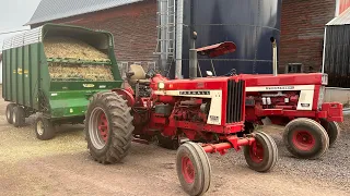 Chopping corn and filling silo 2023