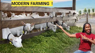 How To SUCCEED In Farming Business As A BEGINNER! | Biggest Challenges (DETAILED)